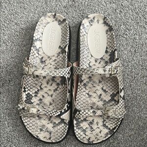 J.Crew Black and Cream Snake Print Slides , New
